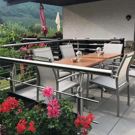 Casa de hóspedes Gaestehaus Steuer 3*