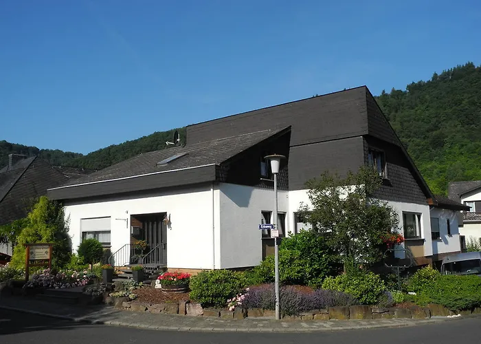 招待所 施托伊尔旅馆 布鲁蒂凡科