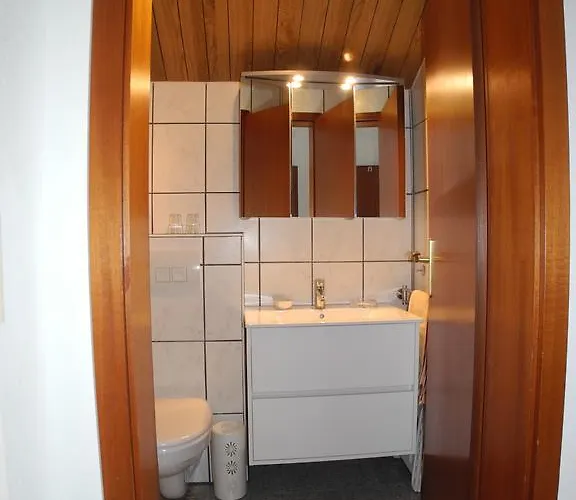 施托伊尔旅馆 4* 布鲁蒂凡科