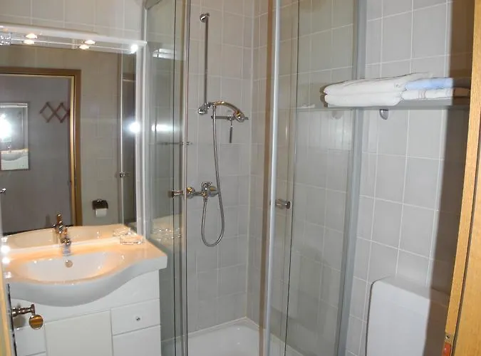 施托伊尔旅馆 4* 布鲁蒂凡科